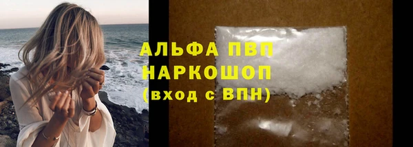 прущие грибы Нефтегорск