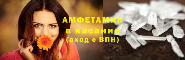 прущие грибы Нефтегорск