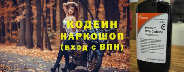прущие грибы Нефтегорск