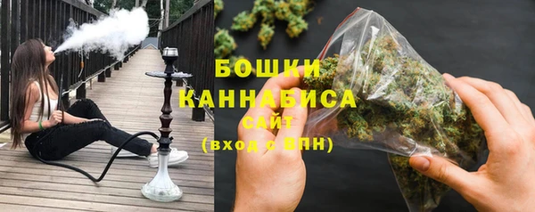прущие грибы Нефтегорск